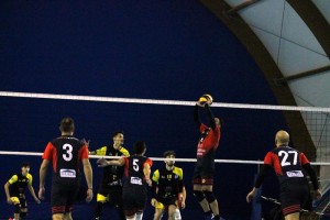 IMG 0753